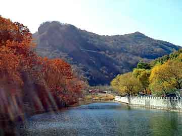 澳门二四六天天彩图库，奥迪论坛